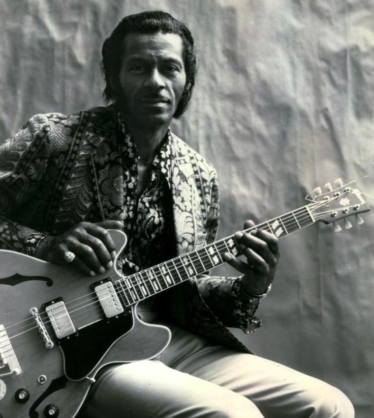 Chuck Berry - too much monkey business